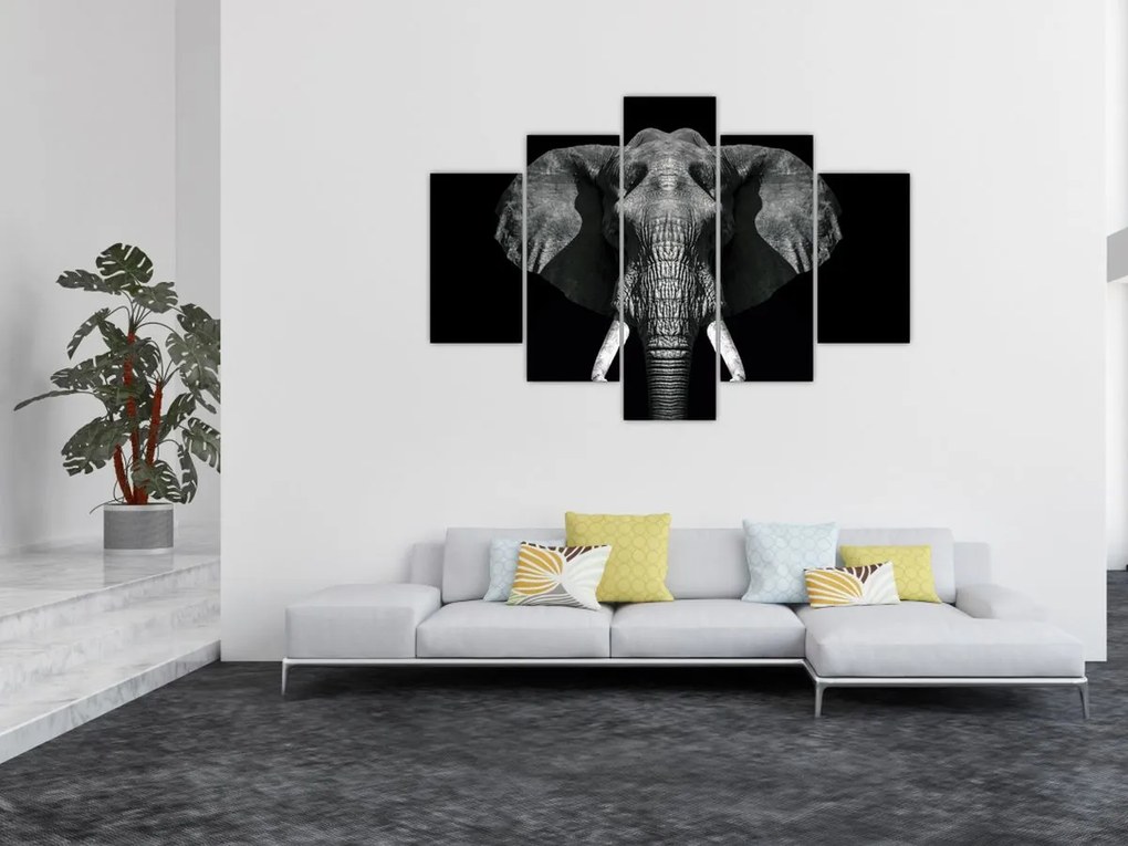 Tablou - Elefant pe fundal negru (150x105 cm)