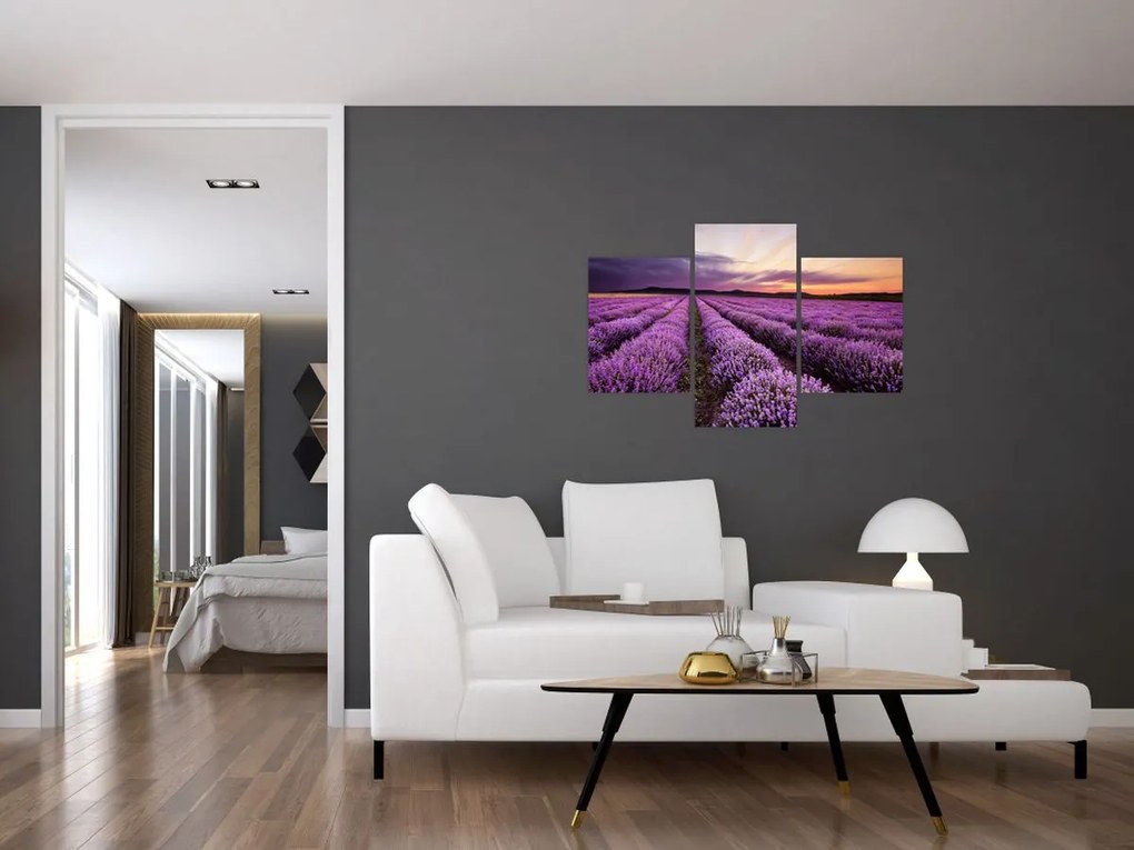 Tablou - Câmp de lavandă la apus de soare (90x60 cm)