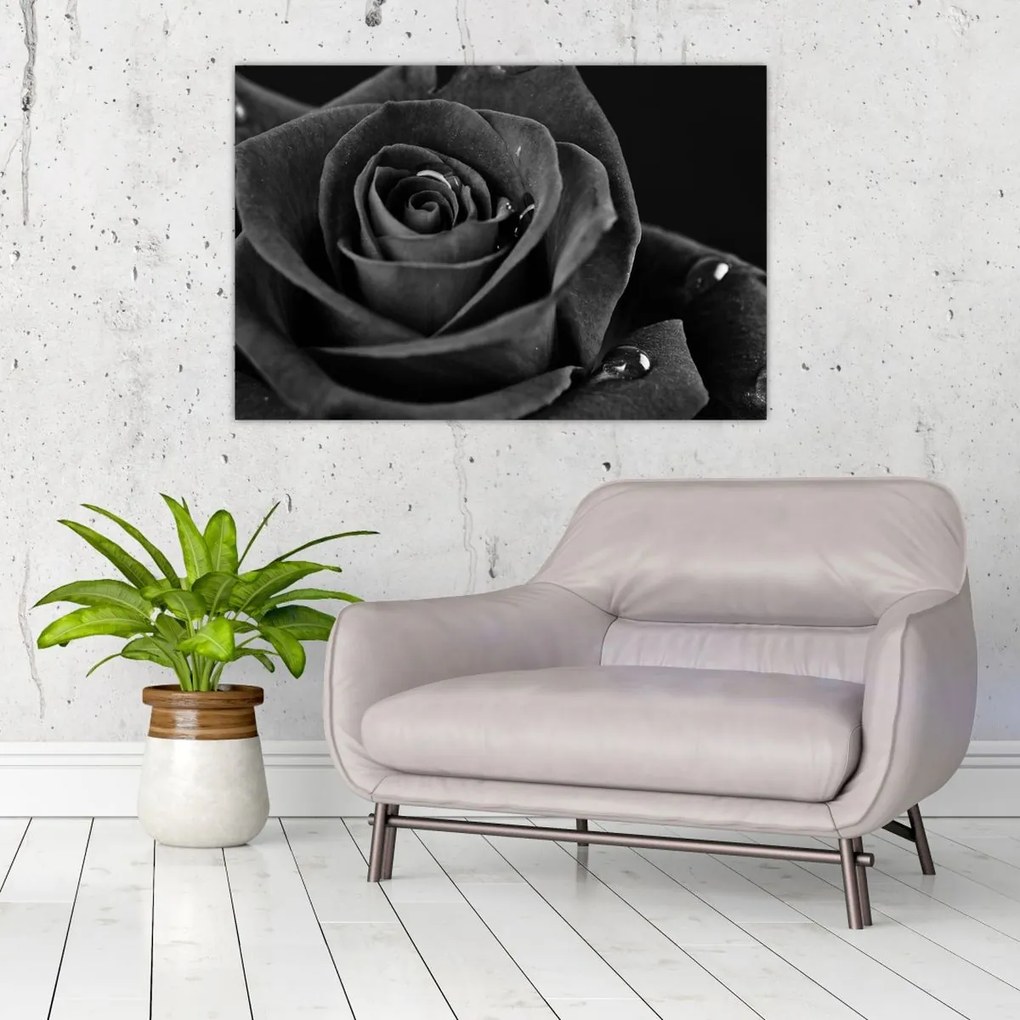 Tablou - Trandafir roșu aprins (90x60 cm)
