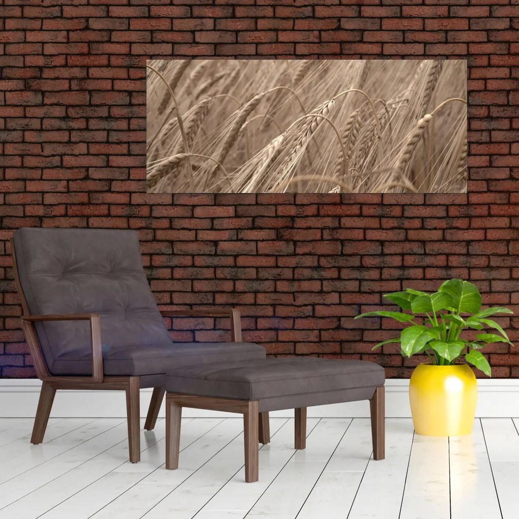 Tablou - Câmpul de aur (120x50 cm)