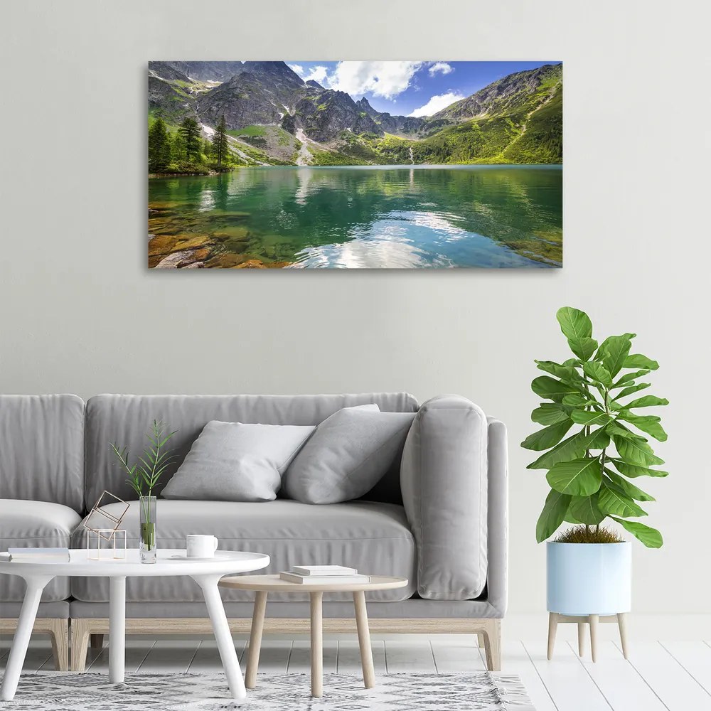 Pictură pe pânză Marine ochi tatry