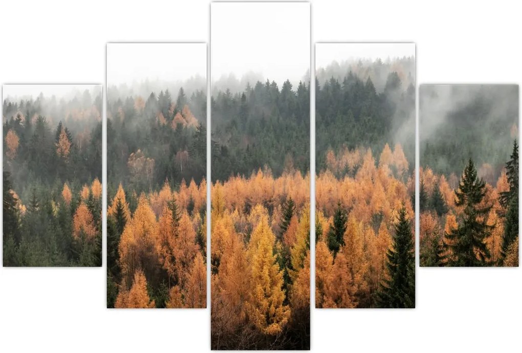 Tablou - Pădure toamna (150x105 cm)