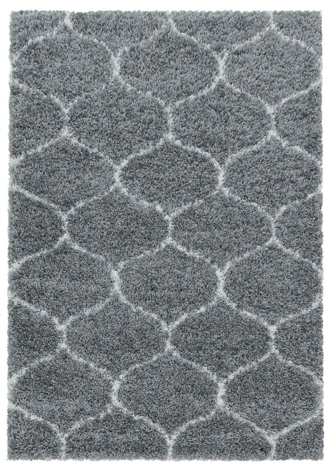 Covor gri 200x290 cm Salsa – Ayyildiz Carpets