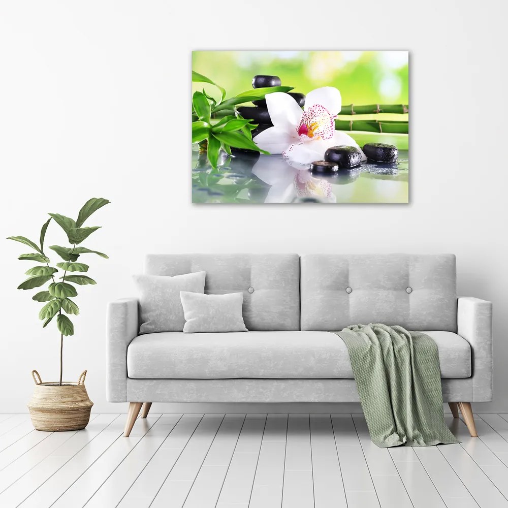 Imprimare tablou canvas Orhidee