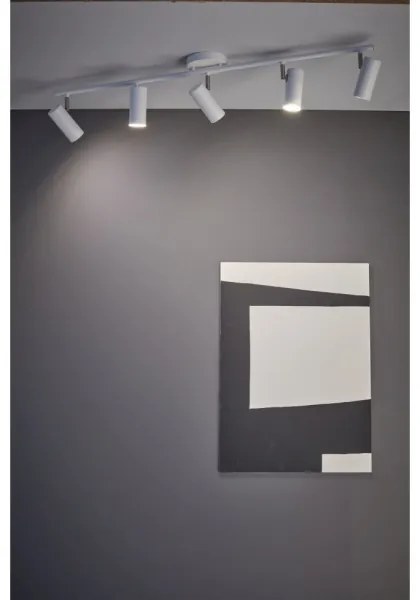 Markslöjd 107352 - Lampă spot BARCELONA 5xGU10/12W/230V