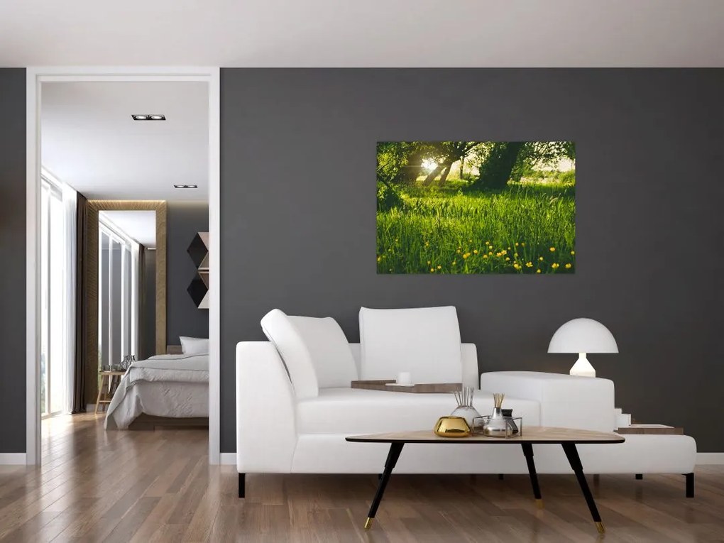 Tablou cu natura - lunca (90x60 cm)