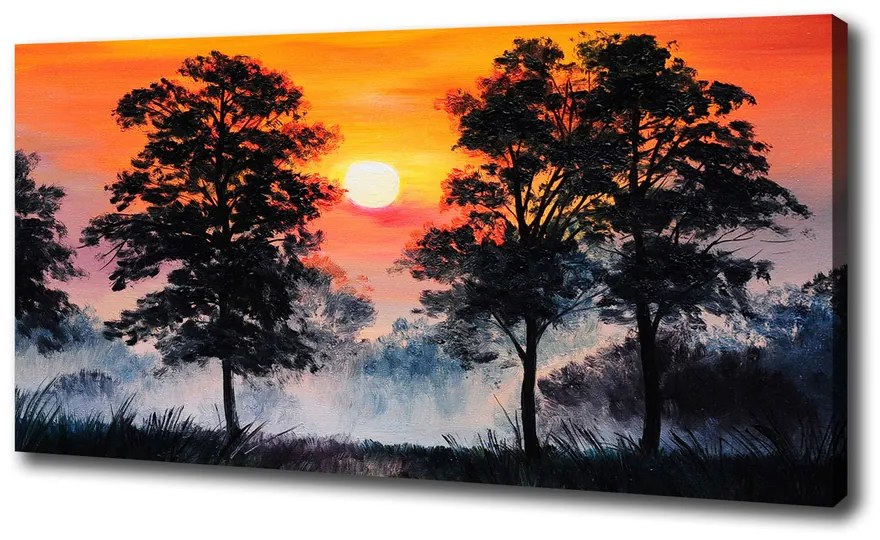 Tablou pe pânză canvas Pădure apus de soare