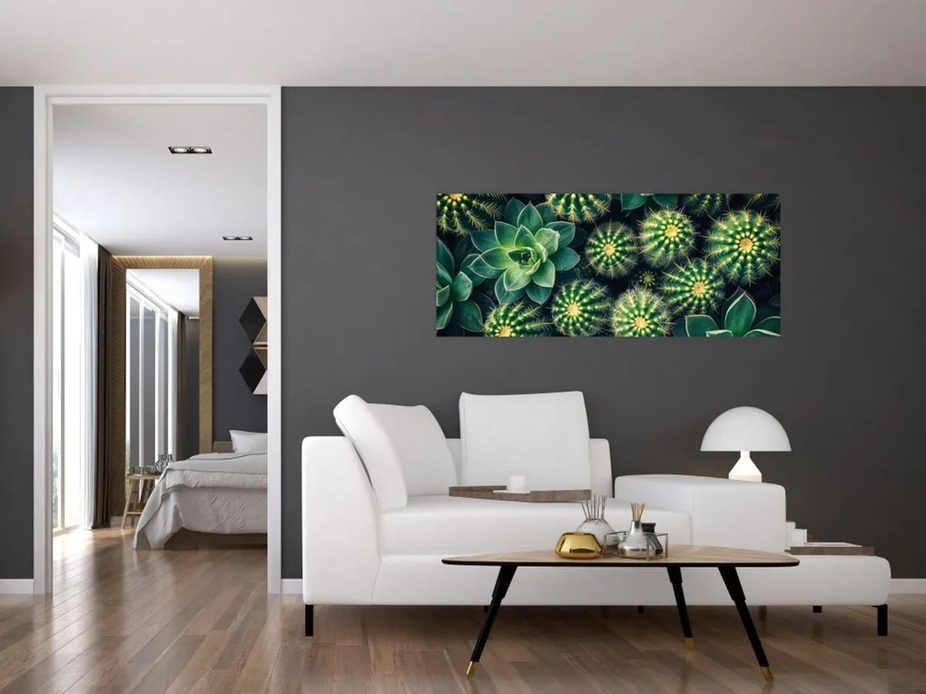 Tablou - Cactuși (120x50 cm)