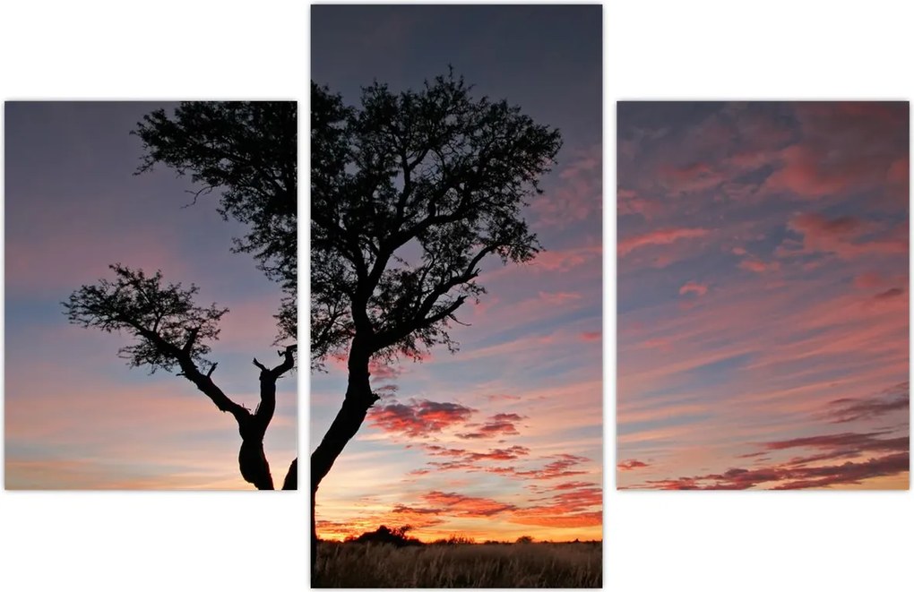 Tablou - Copac și nuanțe roșiatice (90x60 cm)