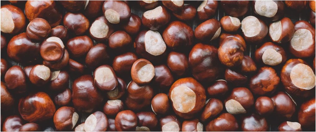 Tablou - Castane coapte (120x50 cm)