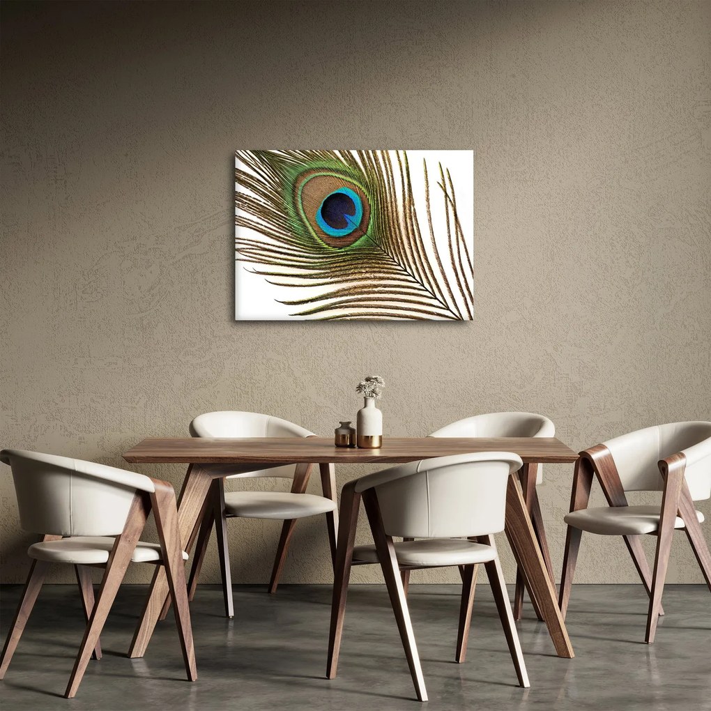 Tablou cu pene de păun (70x50 cm)
