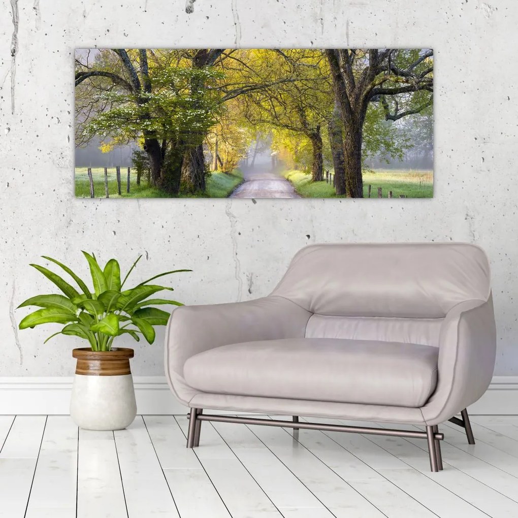 Tablou - Smoky Mountains, Gatlinburg, SUA (120x50 cm)