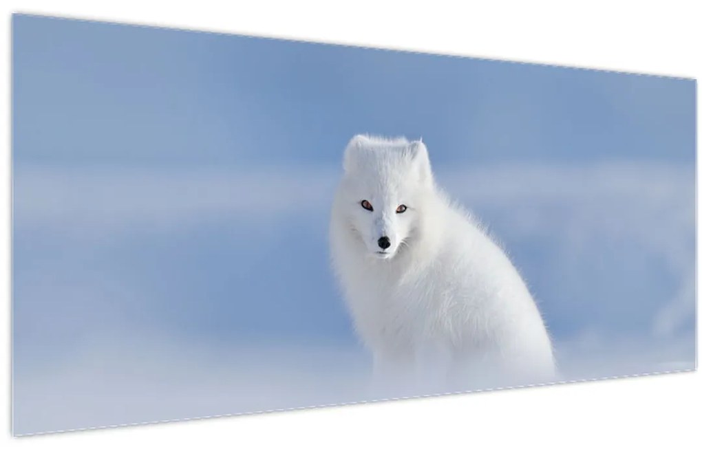 Tablou - Vulpe polară (120x50 cm)