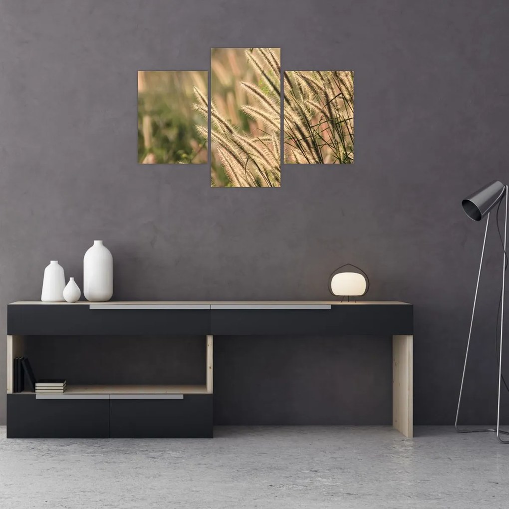 Tablou - Cereale (90x60 cm)