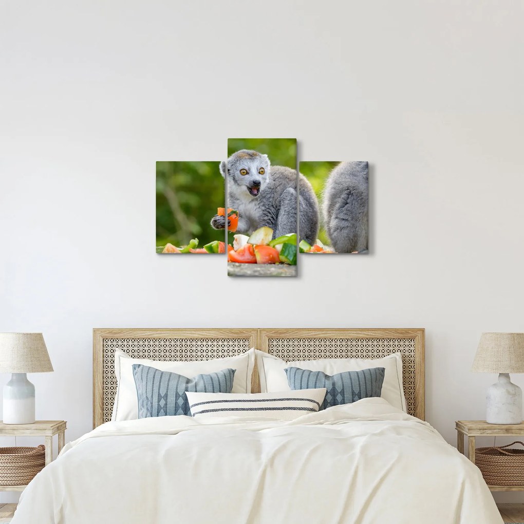 Tablou cu lemur (90x60 cm)