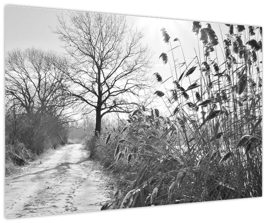 Tablou - Câmpuri în timpul iernii (90x60 cm)