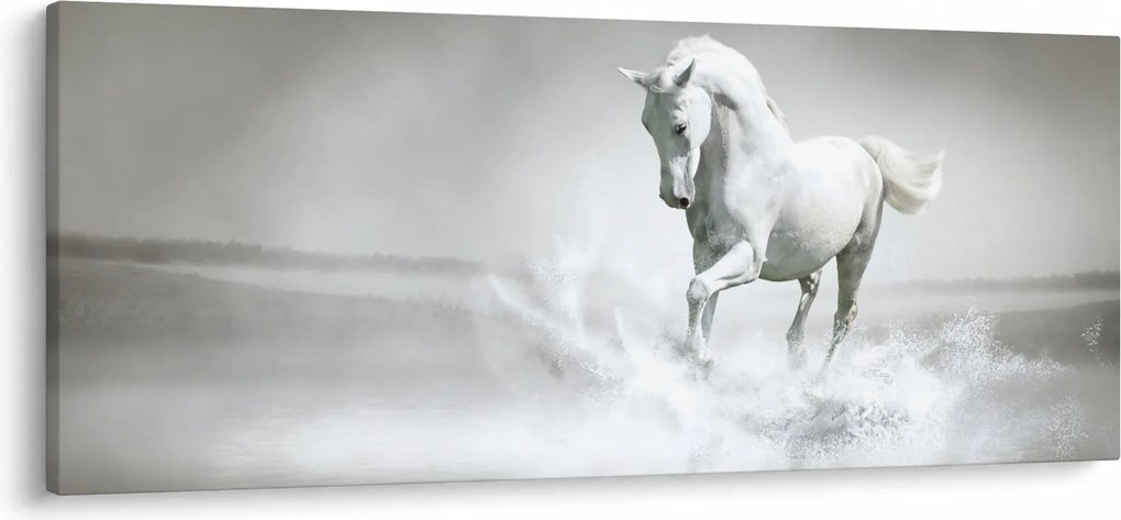 Tablou - Cal alb (120x50 cm)