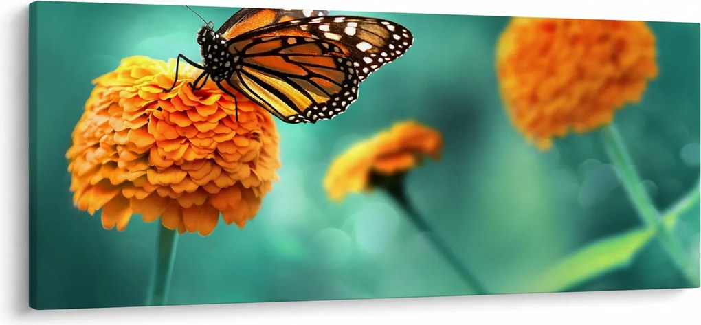 Tablou cu fluture (120x50 cm)