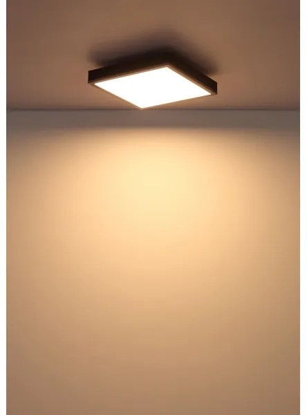 Plafonieră LED Globo 416080AD1 DORO LED/12W/230V 3000K 30x30 cm