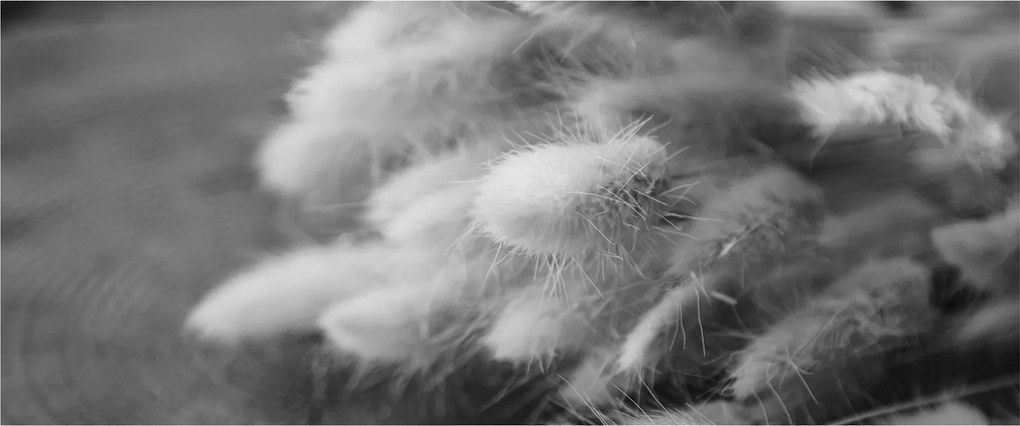 Tablou - iarbă de coadă de iepure pe masă (120x50 cm)
