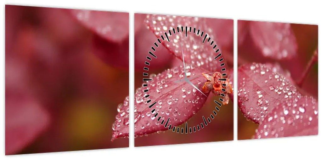 Tablou - Imagine macro a biletului (cu ceas) (90x30 cm)