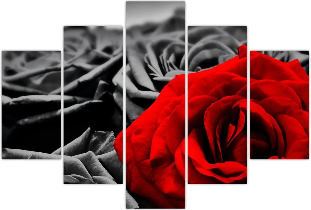 Tablou - Flori de trandafir (150x105 cm)
