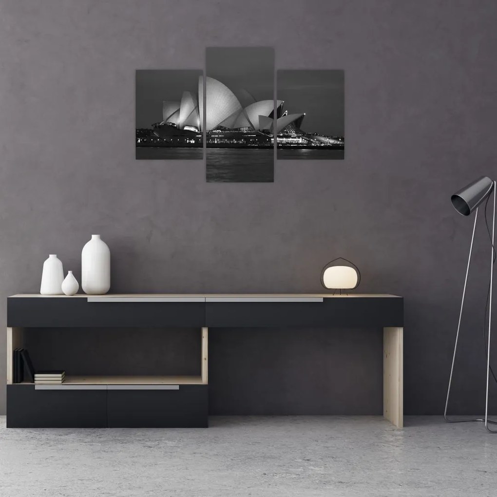 Tablou cu Opera din Sydney (90x60 cm)