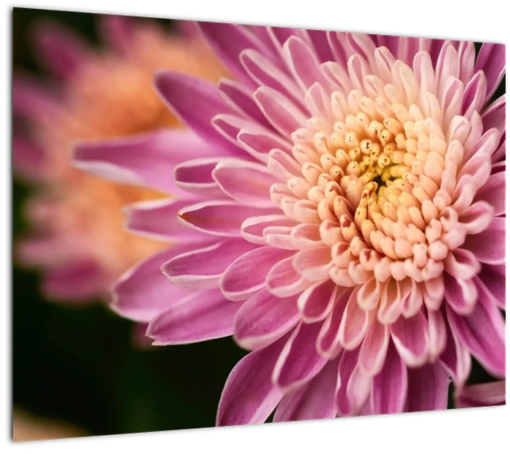 Tablou detailat cu flori (70x50 cm)
