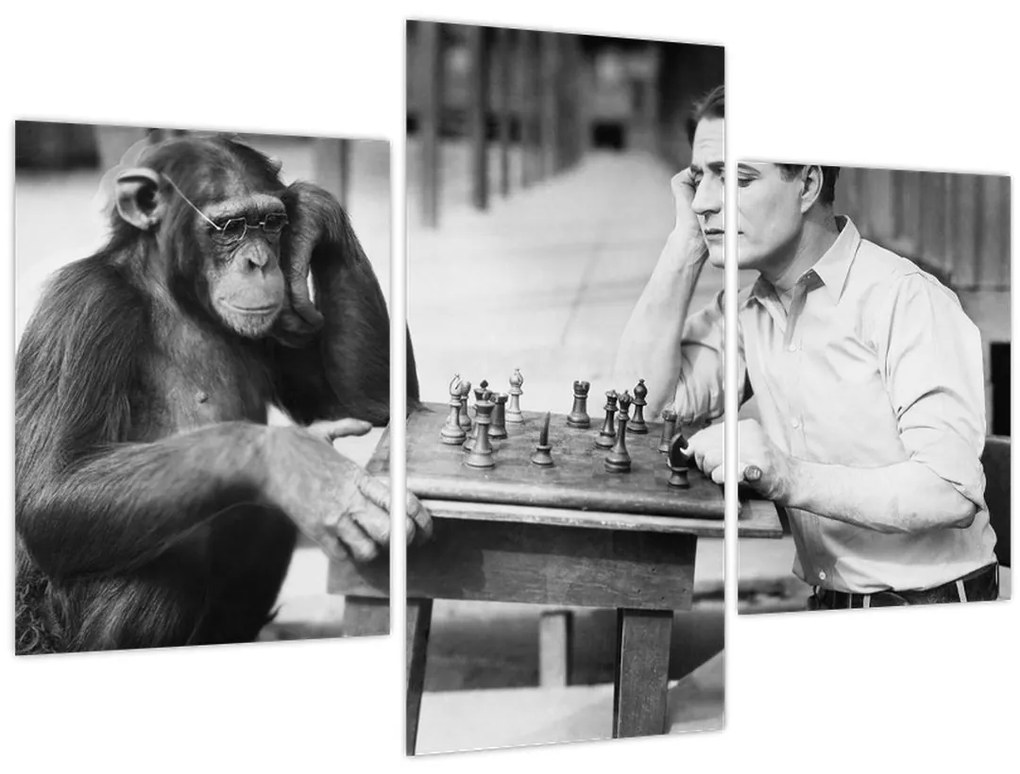 Tablou - Circ 2 (90x60 cm)