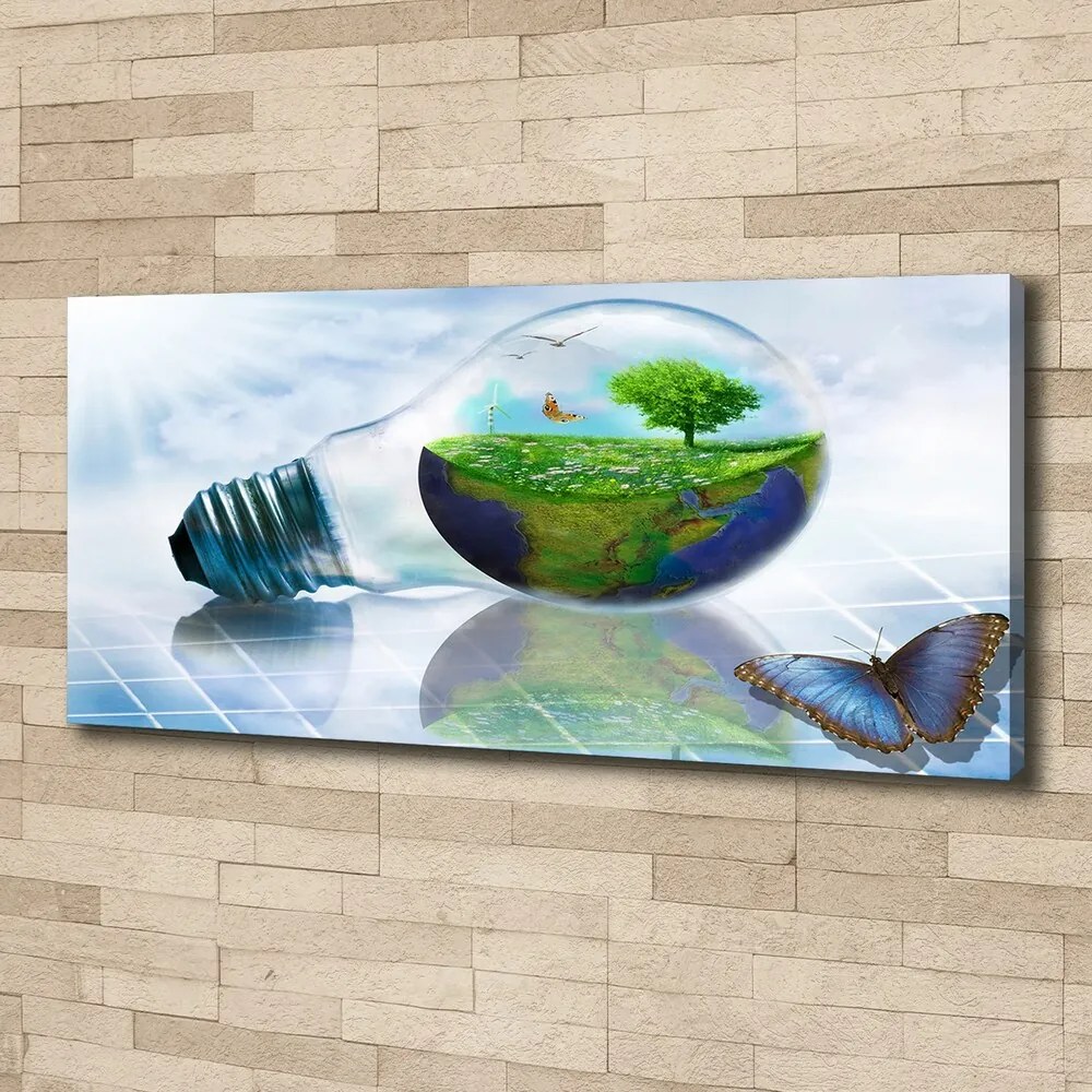 Tablouri tipărite pe pânză Resurse ecologice