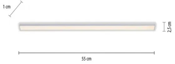 Paul Neuhaus 1125-21-A - Lumină LED AMON sub mobilier LED/6W/12/230V