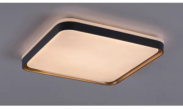 Rabalux 71029 - Plafonieră LED LIATRIS, 26W, 230V, 3000K