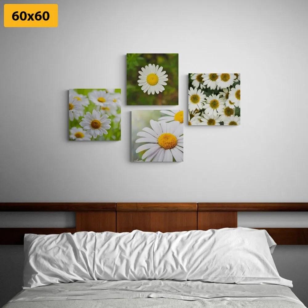 Set tablouri flori magice
