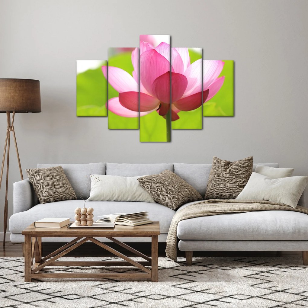 Tablou cu flori de lotus (150x105 cm)