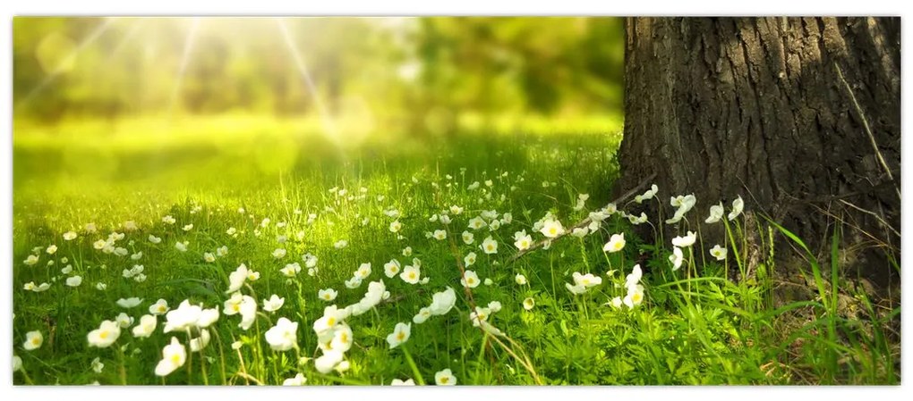 Tablou cu poiana și flori (120x50 cm)
