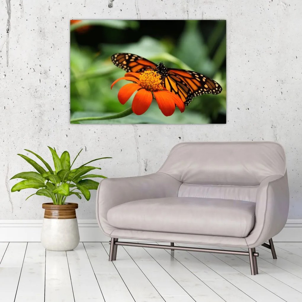Tablou cu fluture pe floare (90x60 cm)