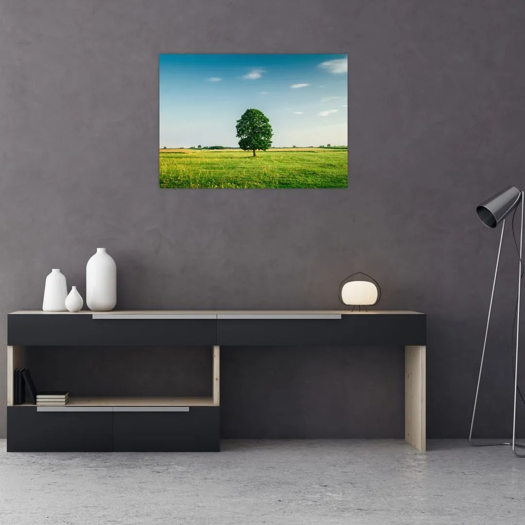 Tablou cu copaci pe luncă (70x50 cm)