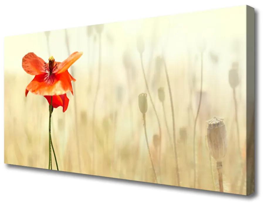 Tablou pe panza canvas Poppy Floral Roșu Verde