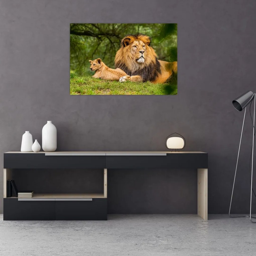 Tablou cu lei (90x60 cm)