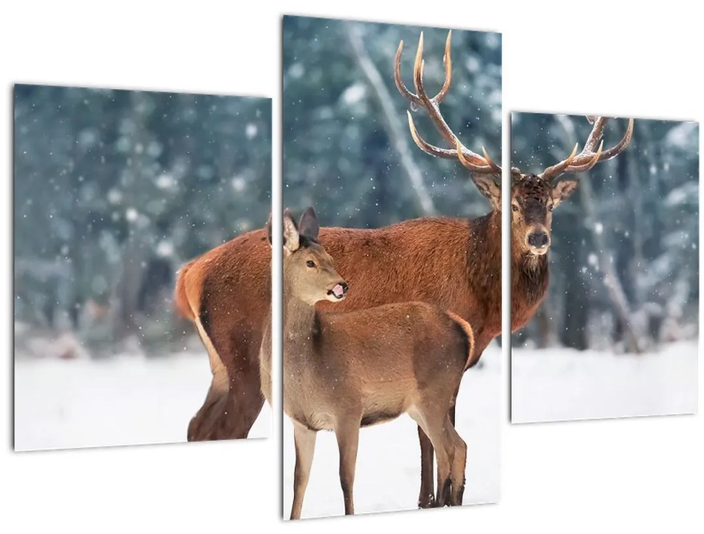 Tablou - Ceb și căprioare (90x60 cm)