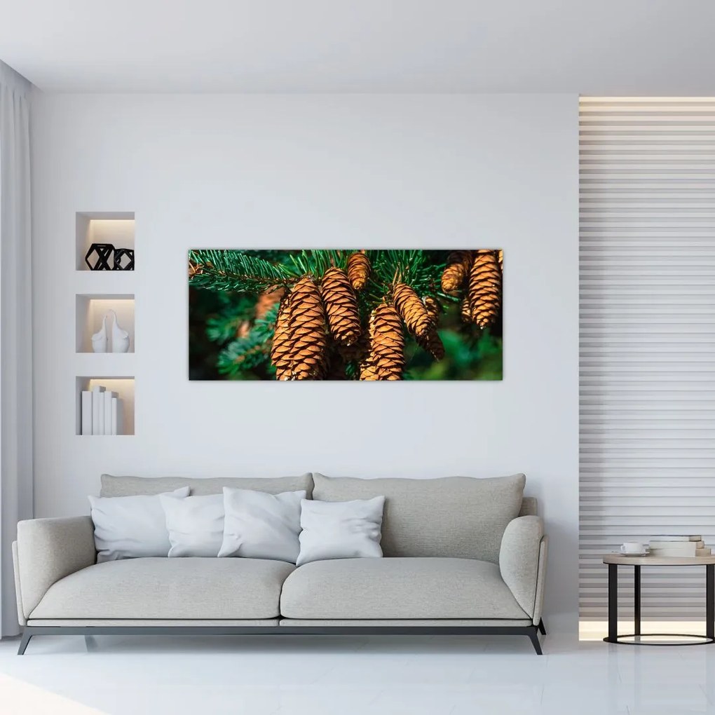 Tablou cu con de brad (120x50 cm)