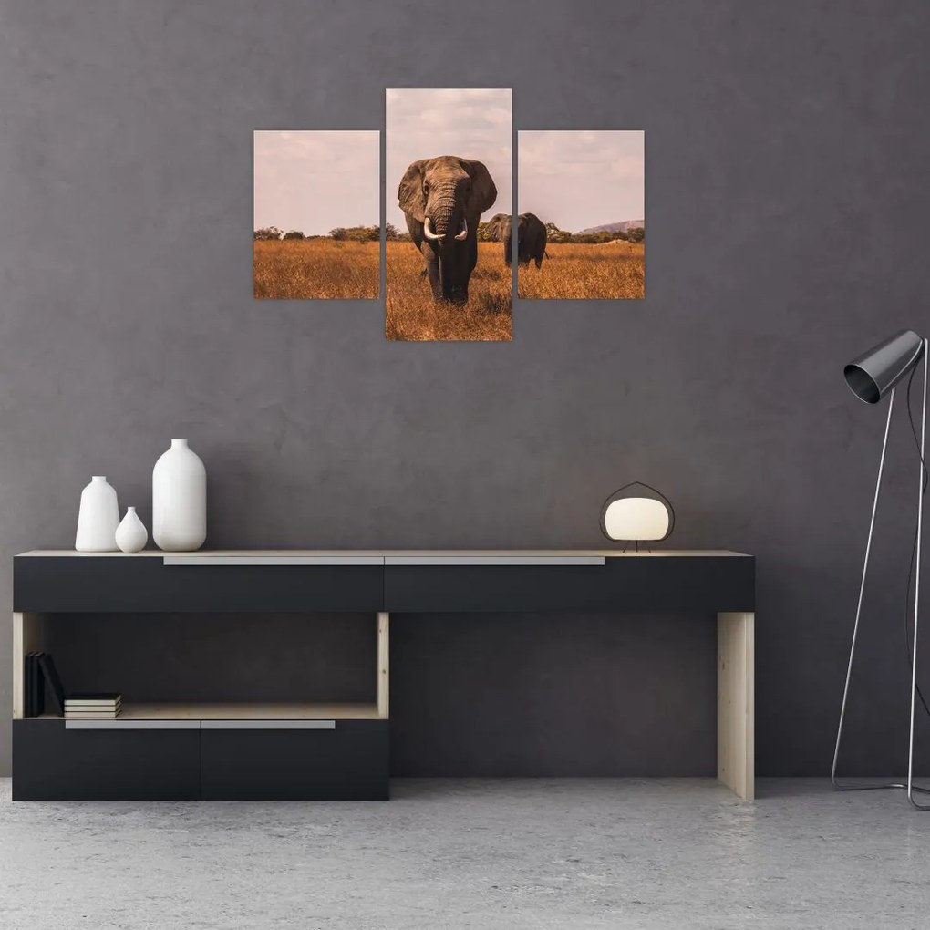 Tablou - Venirea elefantului (90x60 cm)