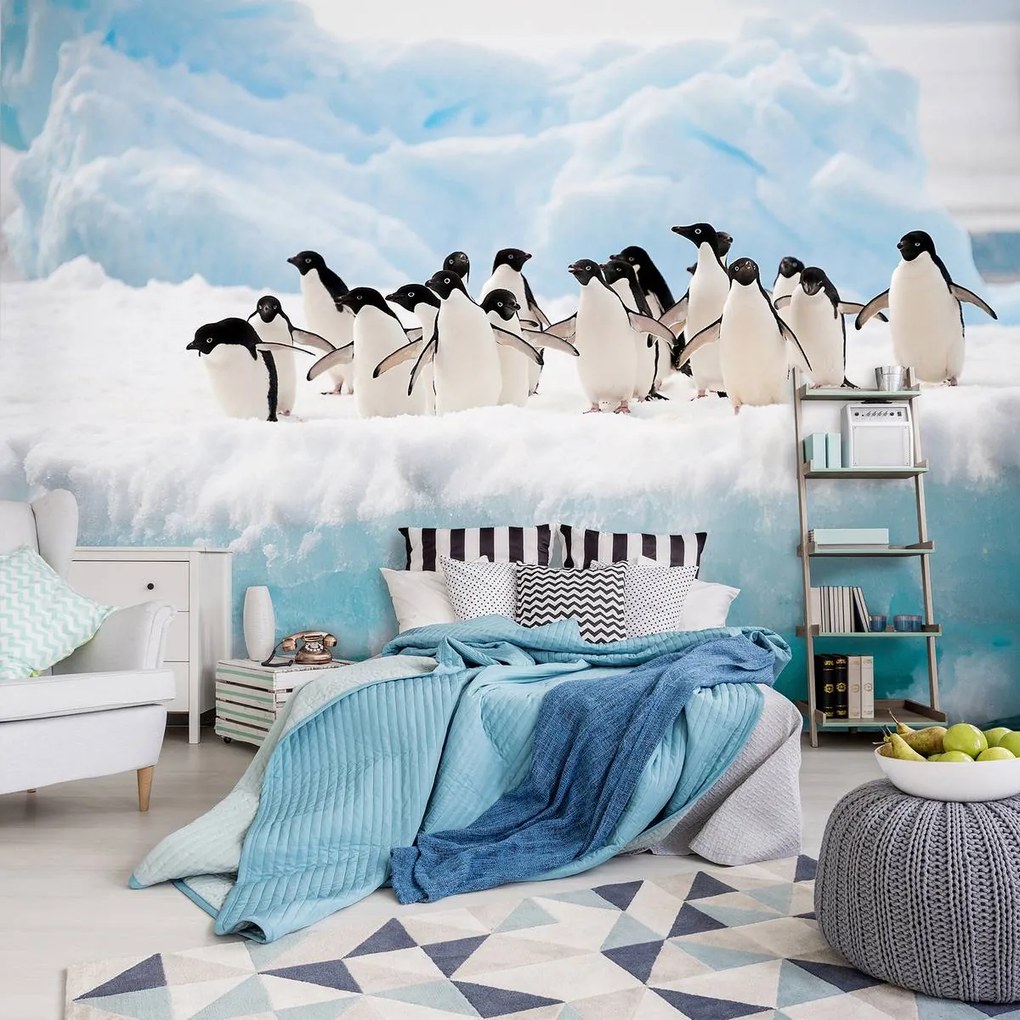 Fototapet - Pinguini (254x184 cm)