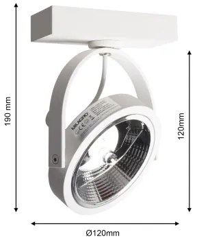 Spot de perete LUGAR 1xAR111 - GU10/25W/230V