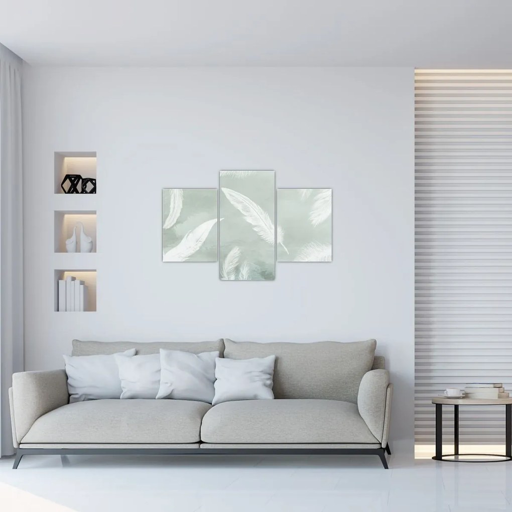 Tablou - Pene albe (90x60 cm)