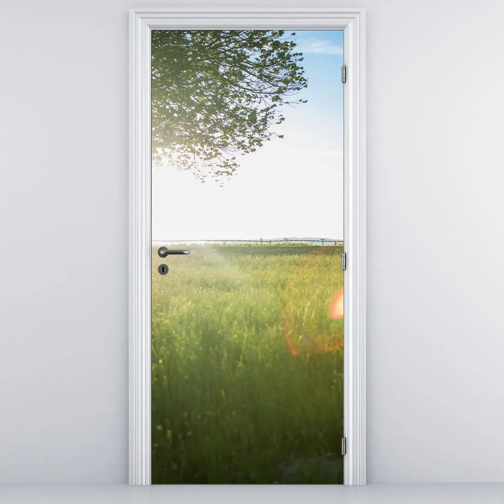 Fototapet pentru ușă - Luncă de vară (95x205cm)