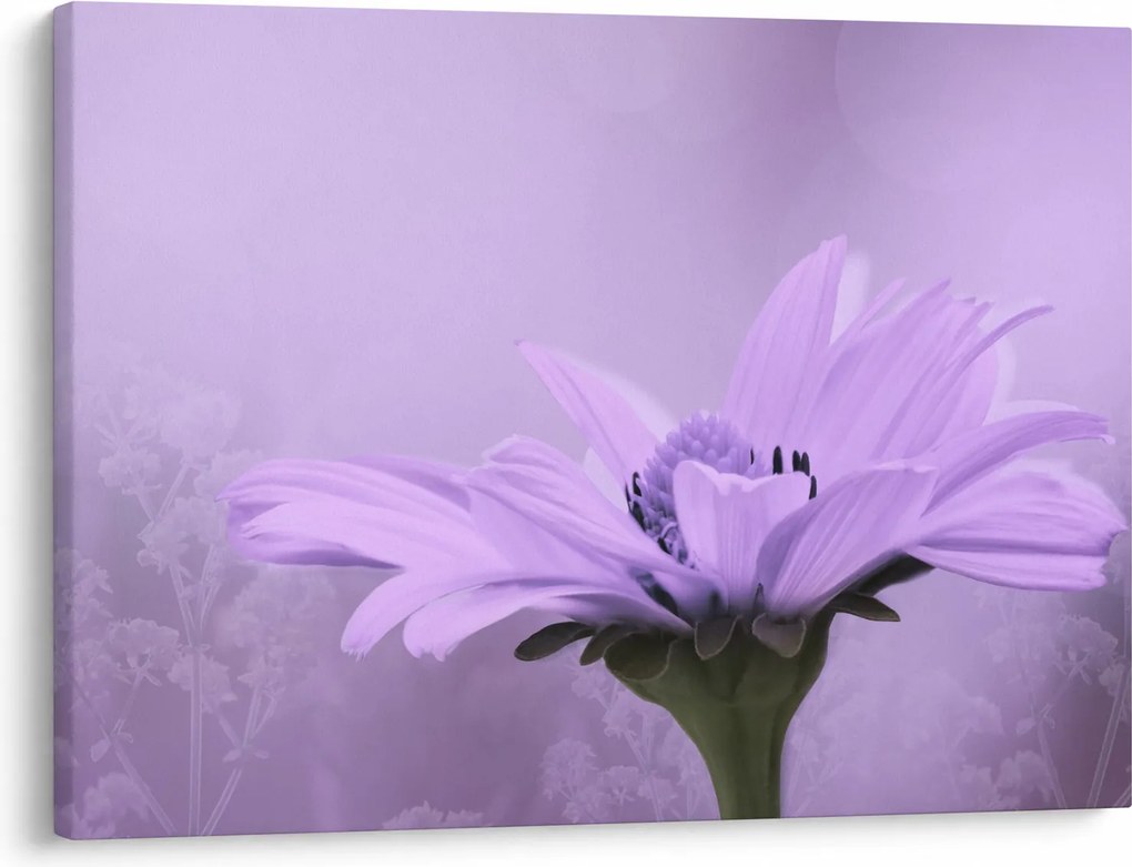 Tablou - Flori mov (70x50 cm)