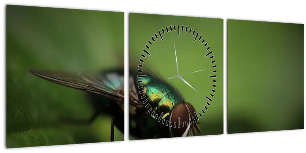 Tablou - Musca (cu ceas) (90x30 cm)