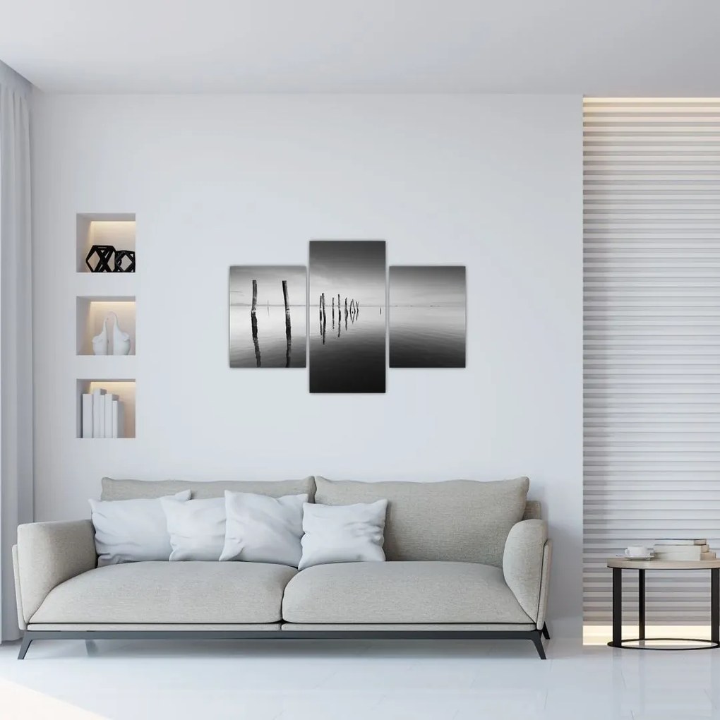 Tablou cu nivelul de lac alb negru (90x60 cm)