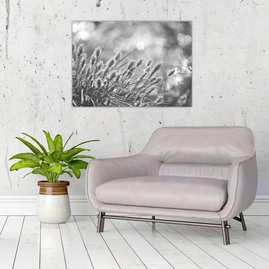 Tablou pe sticlă - Iarbă moale bej N⁰1 (70x50 cm)